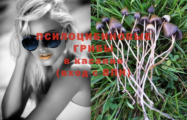 таблы Белокуриха