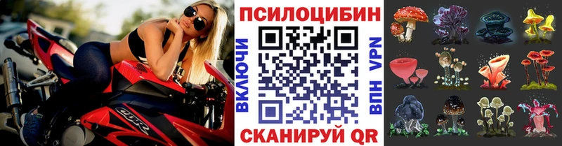 Псилоцибиновые грибы Magic Shrooms Мглин